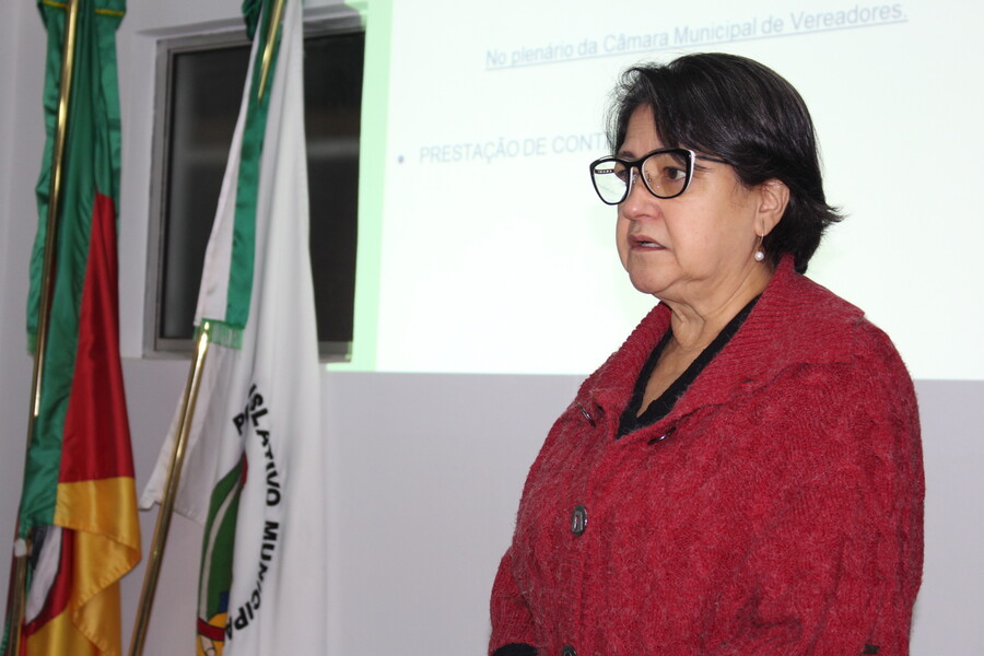 Audiência pública 3.JPG