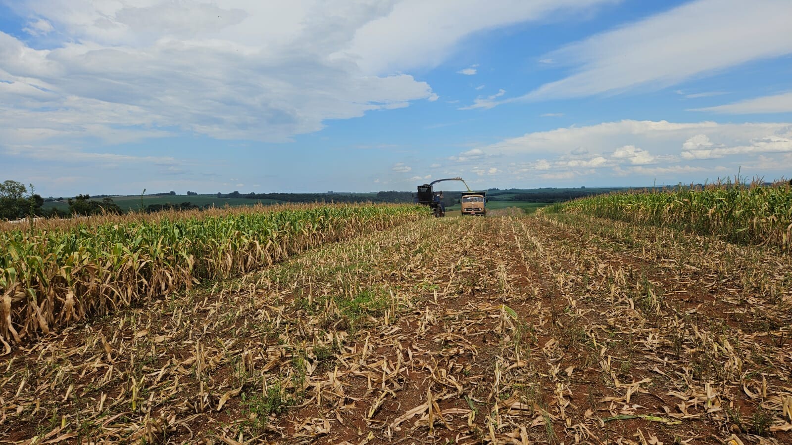 WhatsApp Image 2025-01-10 at 15.57.57.jpeg