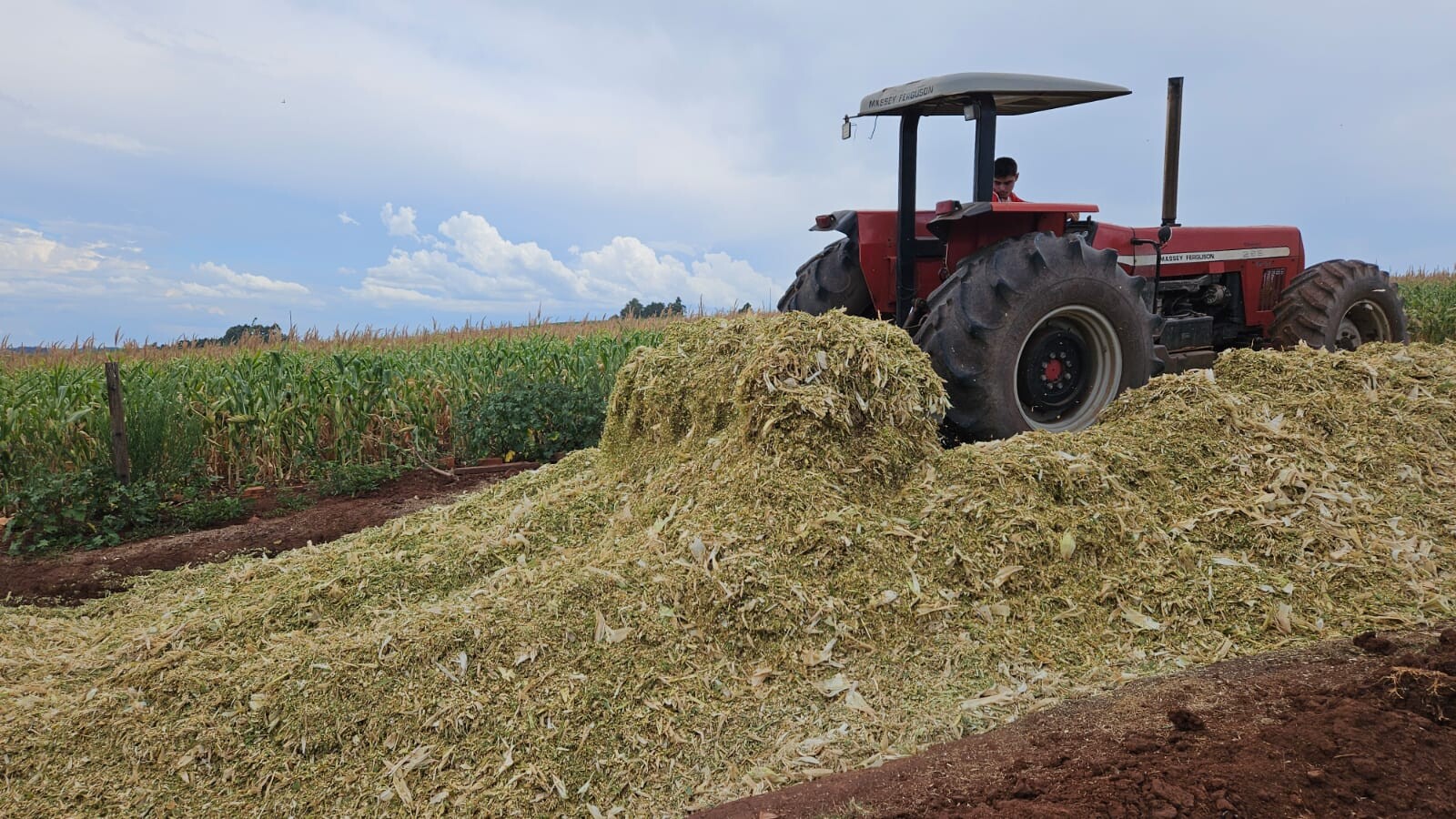 WhatsApp Image 2025-01-10 at 15.57.56 (1).jpeg