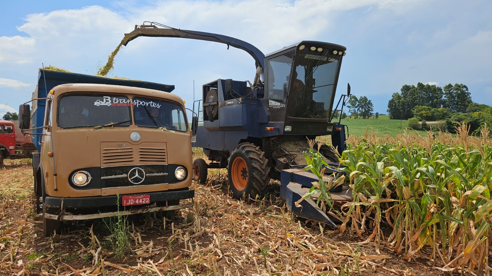 WhatsApp Image 2025-01-10 at 15.57.56.jpeg