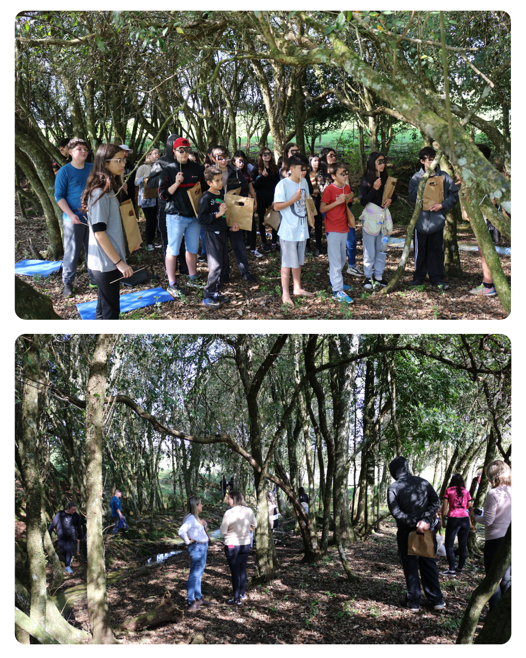 alunos-da-rede-municipal-participam-de-trilha-da-percepcao