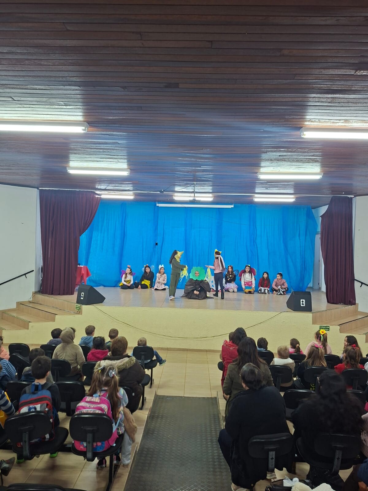 teatro-em-alusao-ao-meio-ambiente