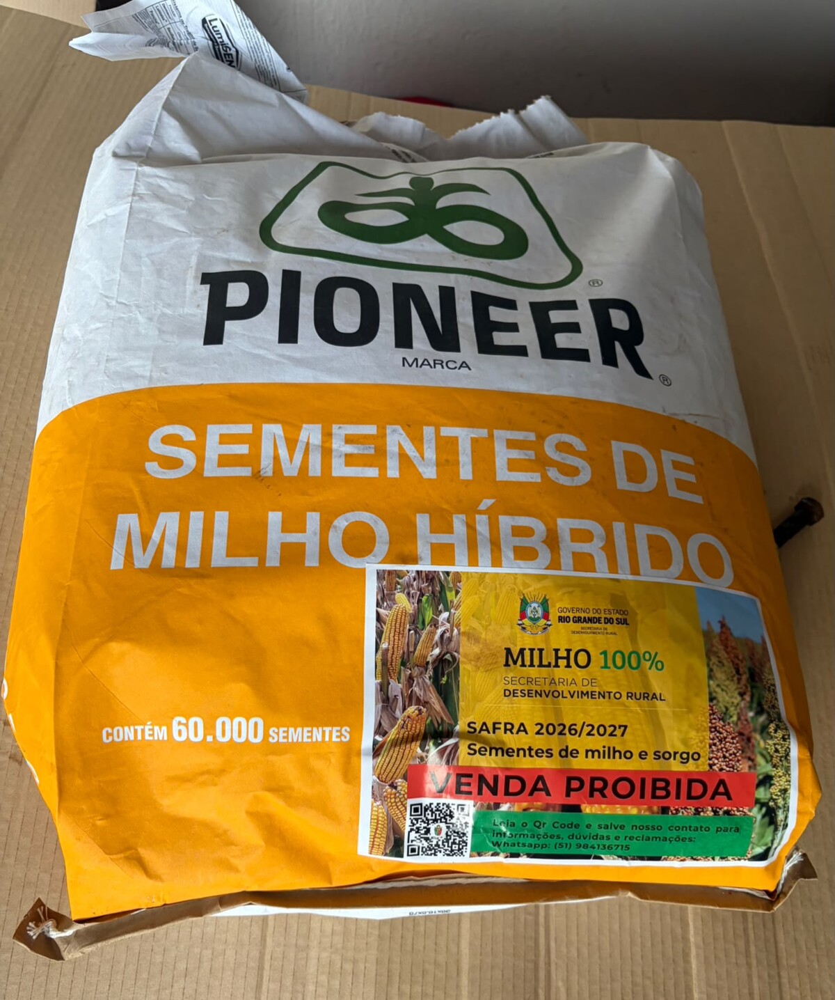programa-milho-100