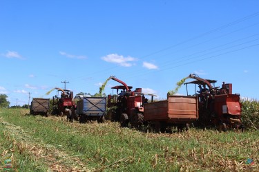 mais-de-70-produtores-rurais-sao-beneficiados-com-a-silagem-de-milho